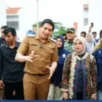peninjauan