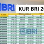 KUR BRI 2025