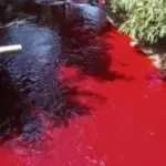 mendadak merah