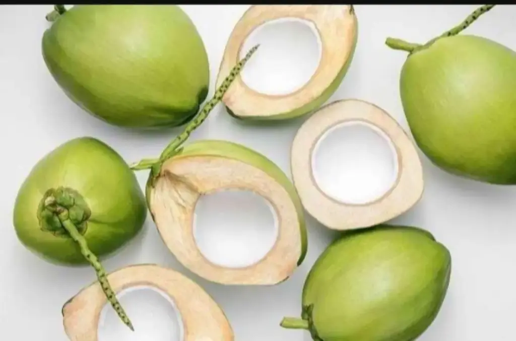 kelapa muda