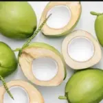 kelapa muda