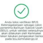 status BSU