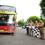 Pelepasan