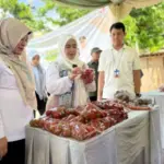 Gerakan Pangan Murah Kota Cirebon Jadi Benteng Pertahanan Krusial Lawan Inflasi dan Ancaman Stunting Wawali-Kota-Cirebon-Siti-Farida-Rosmawati