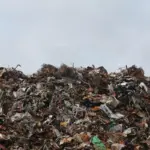 Sampah