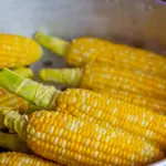 Kendalikan Harga Ayam dan Telur, Kementan Intervensi Stok Jagung SPHP Lewat Skema Satu Harga Stok-Jagung-Jaga-Stabilitas-Harga-Daging-Ayam-Telur