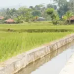 Sistem-Irigasi-Jaga-Ketahanan-Pangan