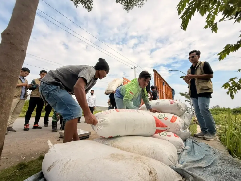 Bulog Cirebon Serap 2,6 Ton Gabah Larangan, Sinergi Pemkot- Kodim 0614 Perkuat Stok Pangan 2026 Bulog-Cirebon-Serap-Gabah-Varietas-Inpari