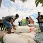 Bulog Cirebon Serap 2,6 Ton Gabah Larangan, Sinergi Pemkot- Kodim 0614 Perkuat Stok Pangan 2026 Bulog-Cirebon-Serap-Gabah-Varietas-Inpari