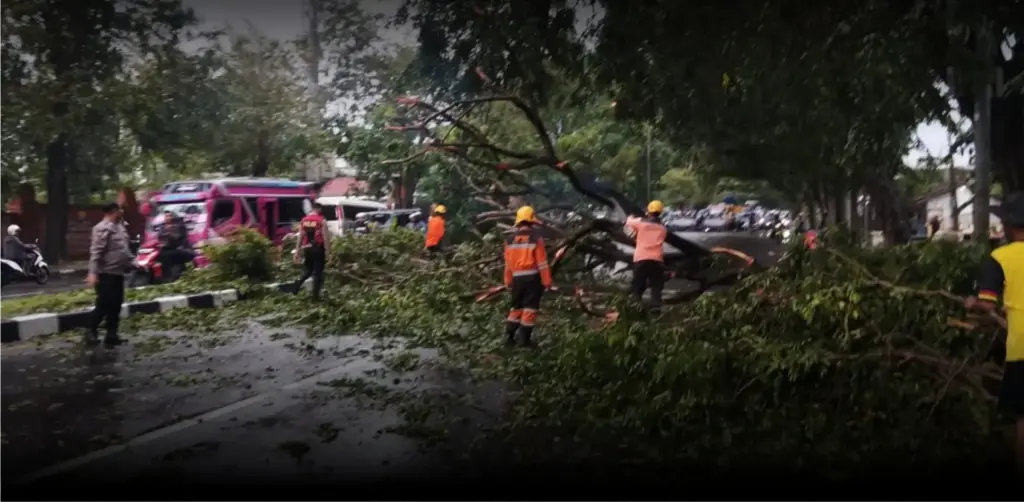 Pohon-Tumbang-Jalan-Ahmad-Yani-Cirebon