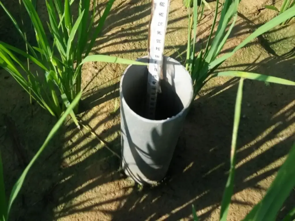 Strategi Cerdas Petani Hadapi Kemarau 2026: Hemat Air 20% lewat Inovasi Pipa Paralon AWD Pipa-Paralon-Teknologi-AWD