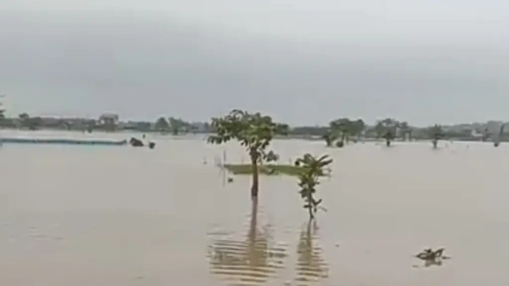 Lahan-Sawah-Tergenang-Banjir