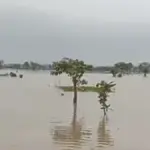 Lahan-Sawah-Tergenang-Banjir