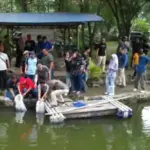 Situ-Pejaten-Cikalahang