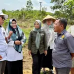 BRMP-Kementan