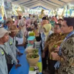 Lumbung Pangan Nasional Taruh Nasib, Lucky Hakim Bongkar Strategi Penyelamatan Petani Indramayu Bupati-Indramayu-Lucky-Hakim
