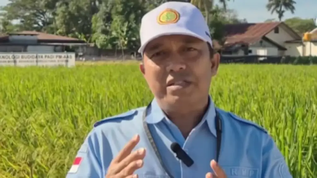 Petani Cirebon Terapkan PMAAS, Targetkan Panen Padi 13 Ton Per Hektare Koordinator-BPP-Palimanan-Eeb