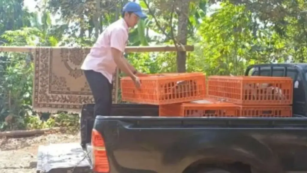 Putus Rantai Impor Bibit Ayam, Pemprov Jabar Bekali Peternak KBB Mesin Tetas 2.000 Butir Ayam-bantuan