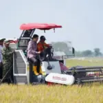Panen Perdana Indramayu Meledak 10,45 Ton Per Hektare, Modernisasi Pertanian Bungkam Skeptisisme Bupati-Indramayu-Lucky-Hakim