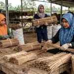 Ilustrasi-lidi-sawit-dan-lidi-nipah--kualitas-ekspor