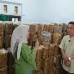 Sumpia-udang-rebon