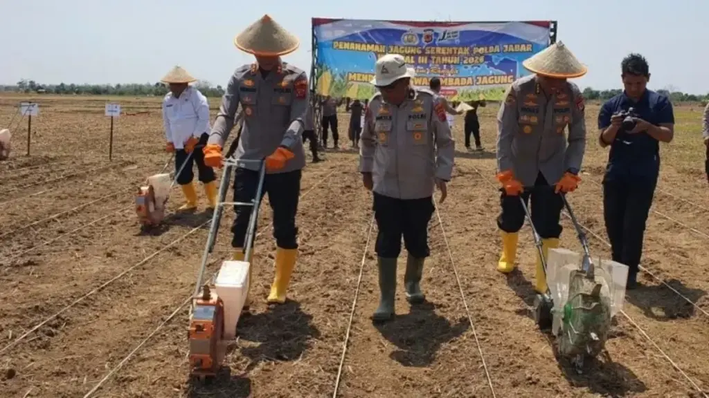 Penanaman-Jagung-Serentak-Kuartal-III-2026