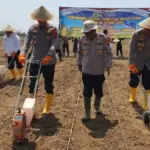 Penanaman-Jagung-Serentak-Kuartal-III-2026
